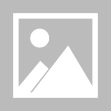 -v6.5.0 版本 · 2025年12月18日